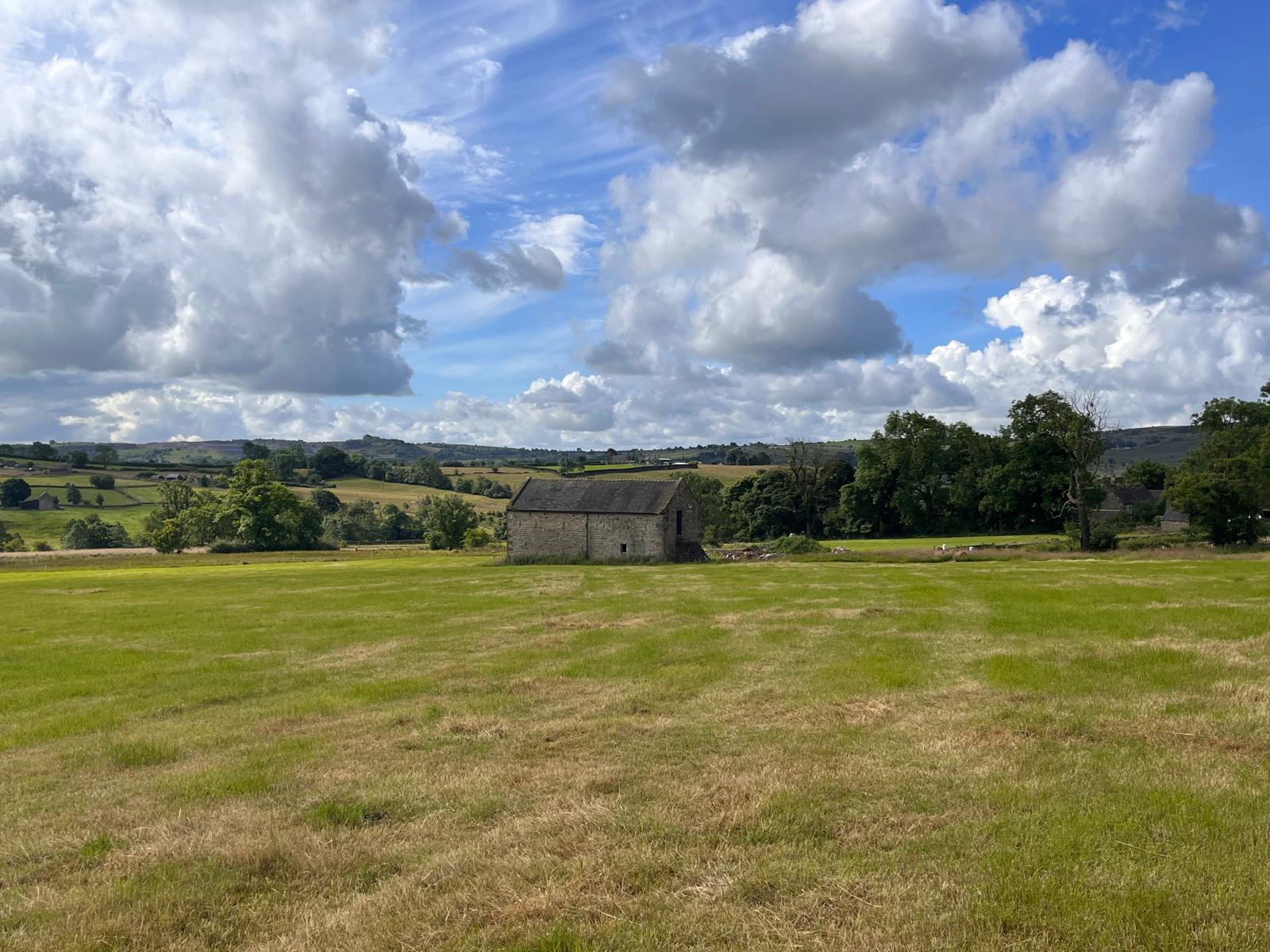 from the fields 